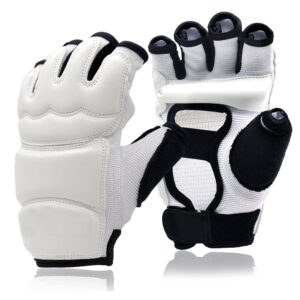 Karate & Taewondo Gloves