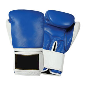 SPARRING GLOVES