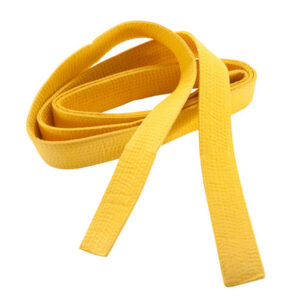 Martial Art Belts