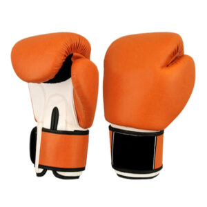 SPARRING GLOVES