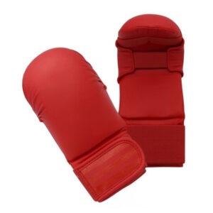 Karate & Taewondo Gloves