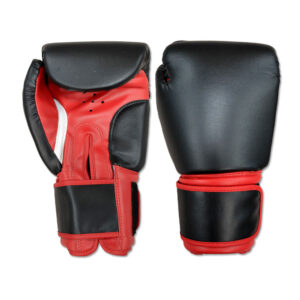 SPARRING GLOVES