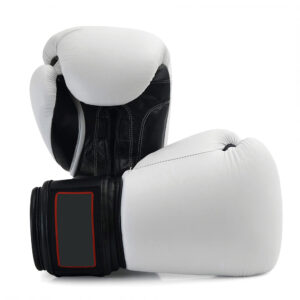 Boxing Competition Gloves