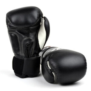 Thai Boxing Gloves