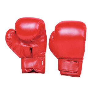 SPARRING GLOVES