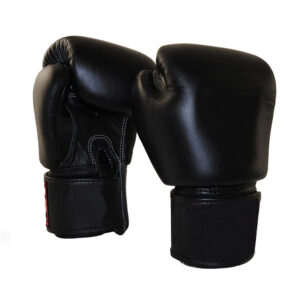 Thai Boxing Gloves