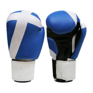 SPARRING GLOVES