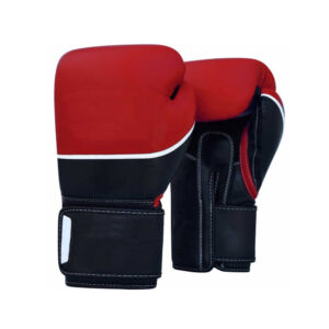 Karate & Taewondo Gloves