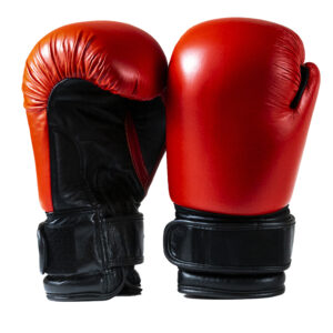 SPARRING GLOVES